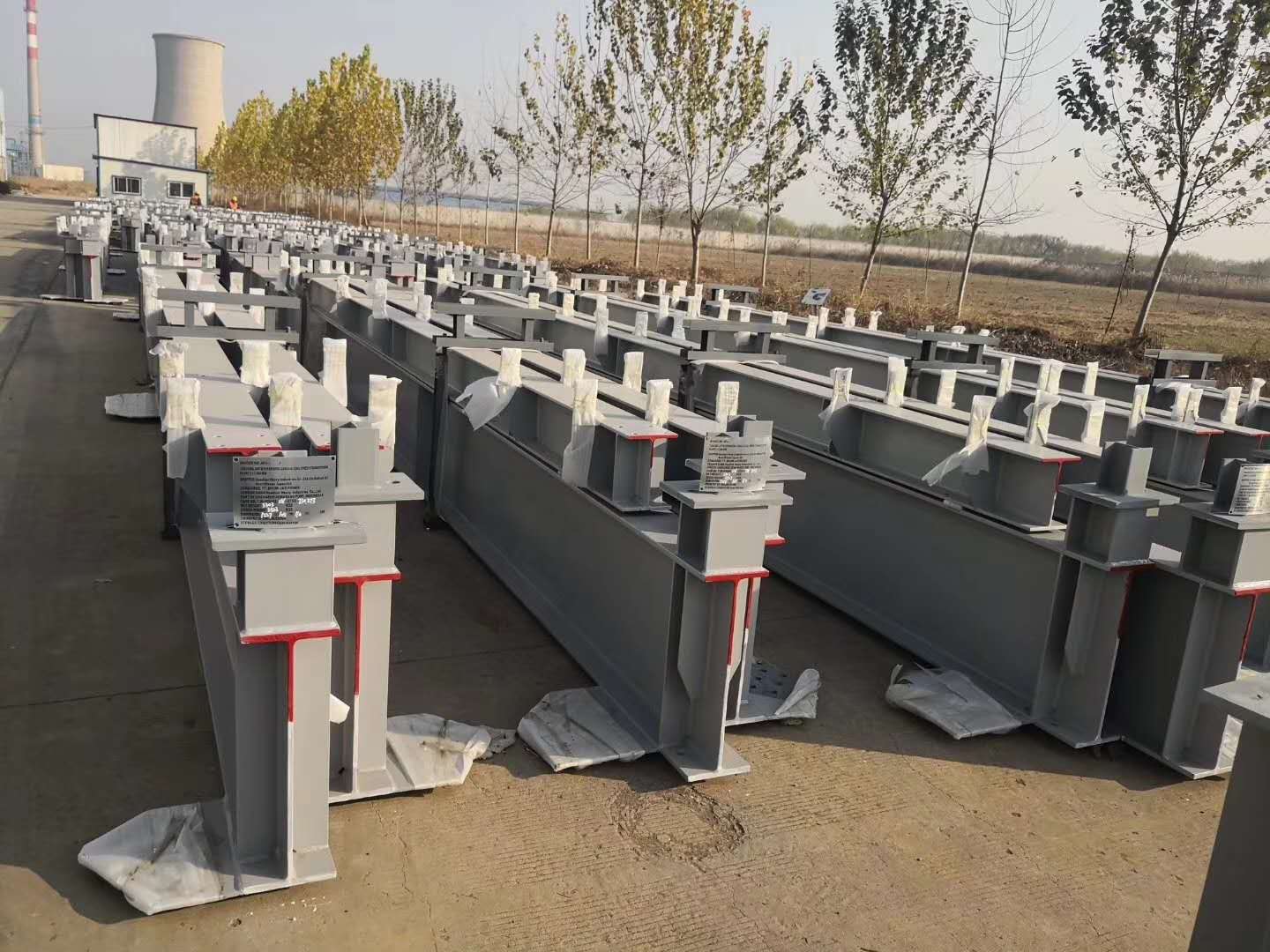 Container Packing Process 1