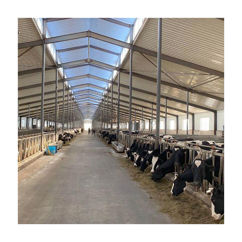 2026 Hot Sale Customized Design Light Steel Structure Horse Storage Shed Barn Steel Structure Building Poultry House
