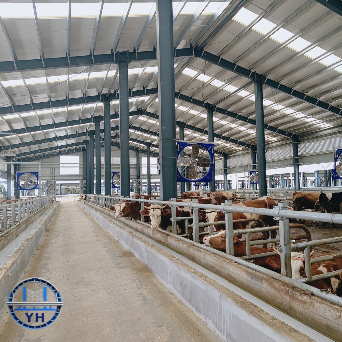 Poultry Farm Interior