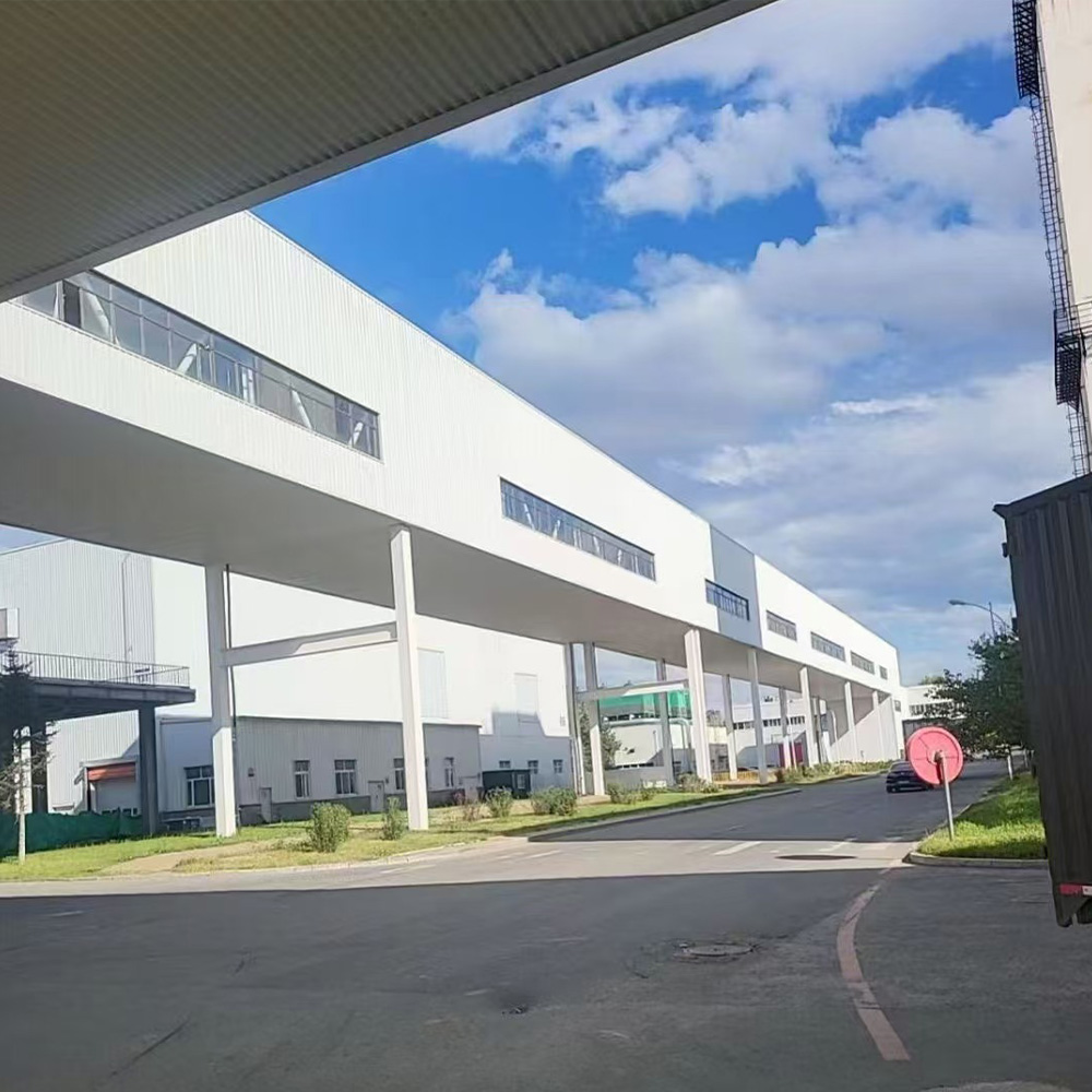 Completed Steel Building