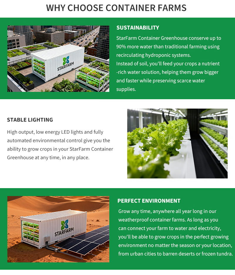 Greenhouse Display 5