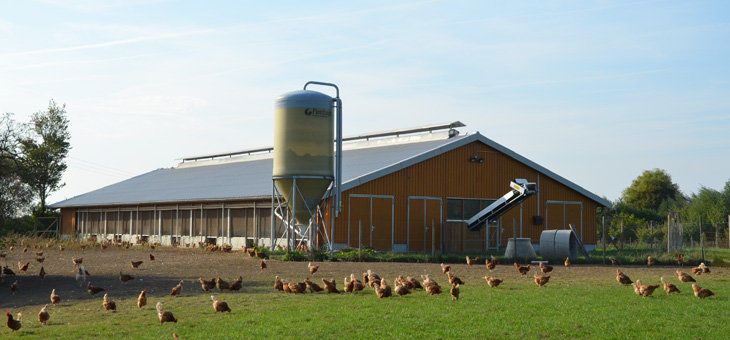 Light Steel Structure Poultry Farming Shed