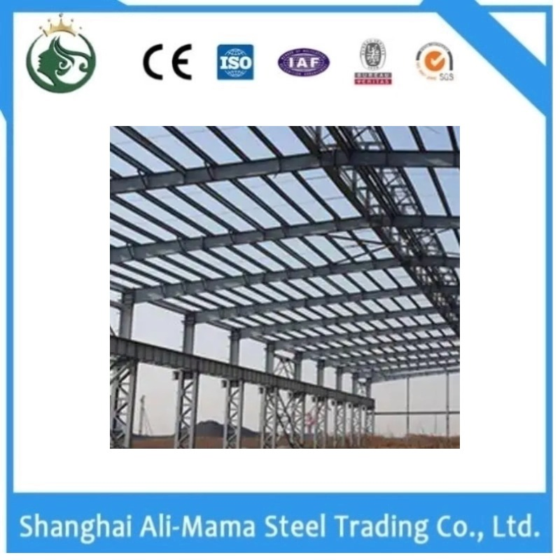 Fabrication Steel Space Frame Metal Galvanized Steel Structure Residential Building