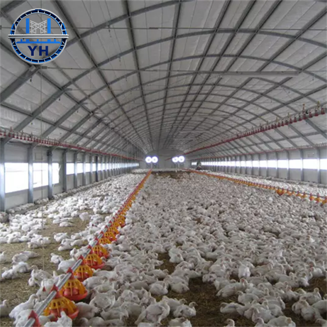 Modern Prefabricated Design Commercial Chicken House with Steel Structure, Laying Hens Shed for Poultry Farm for Sale