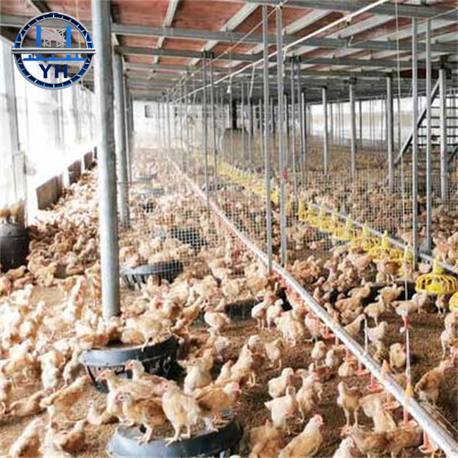 Modern Prefabricated Design Commercial Chicken House with Steel Structure, Laying Hens Shed for Poultry Farm for Sale