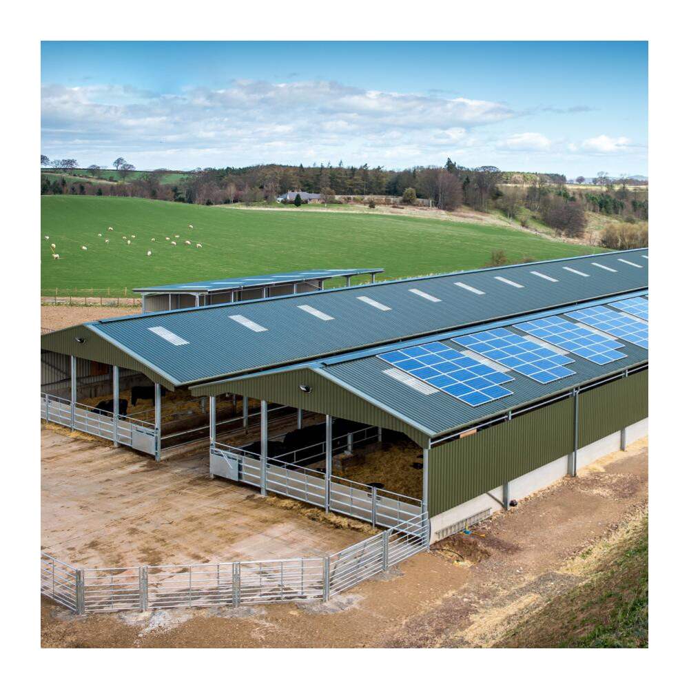 2026 Hot Sale Customized Design Light Steel Structure Horse Storage Shed Barn Steel Structure Building Poultry House