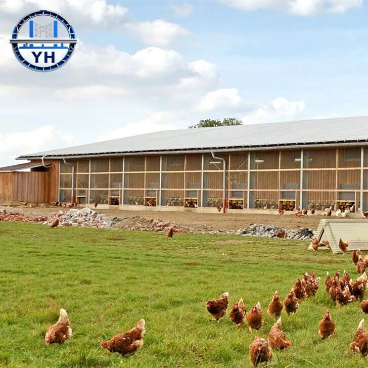 Modern Prefabricated Design Commercial Chicken House with Steel Structure, Laying Hens Shed for Poultry Farm for Sale