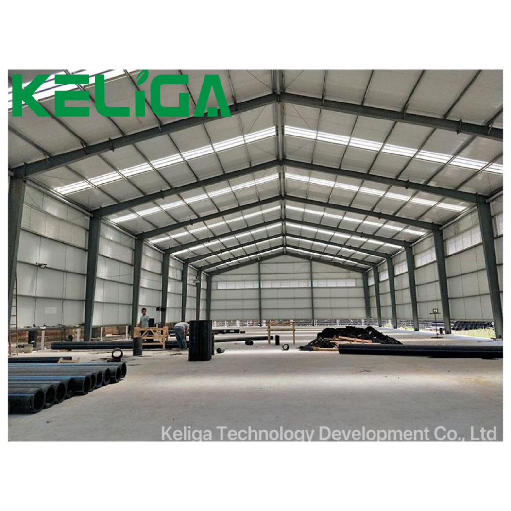 New Design Steel Structure Warehouse Fast Installation Prefabricated Steel Structure Warehouse