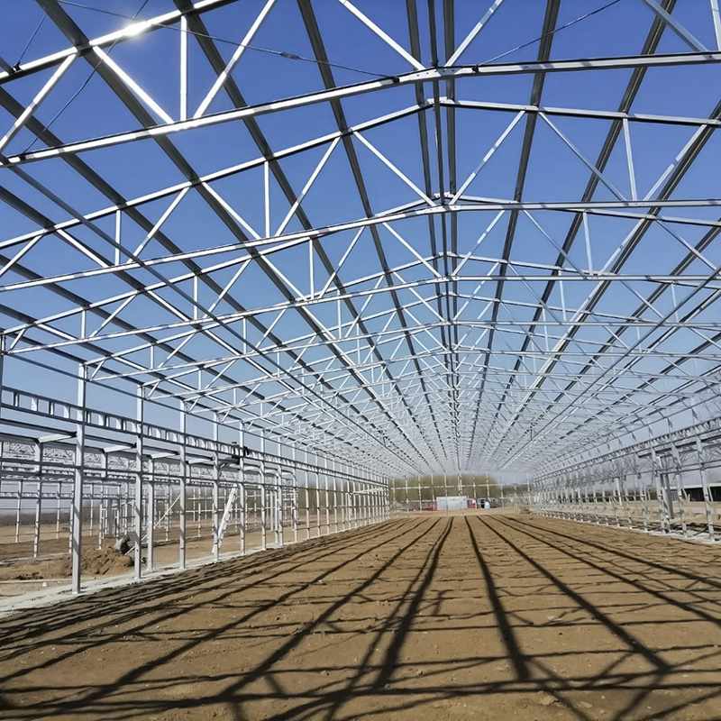 Chicken Farm Building Durable Steel Structures for Efficient and Eco-Friendly Agriculture