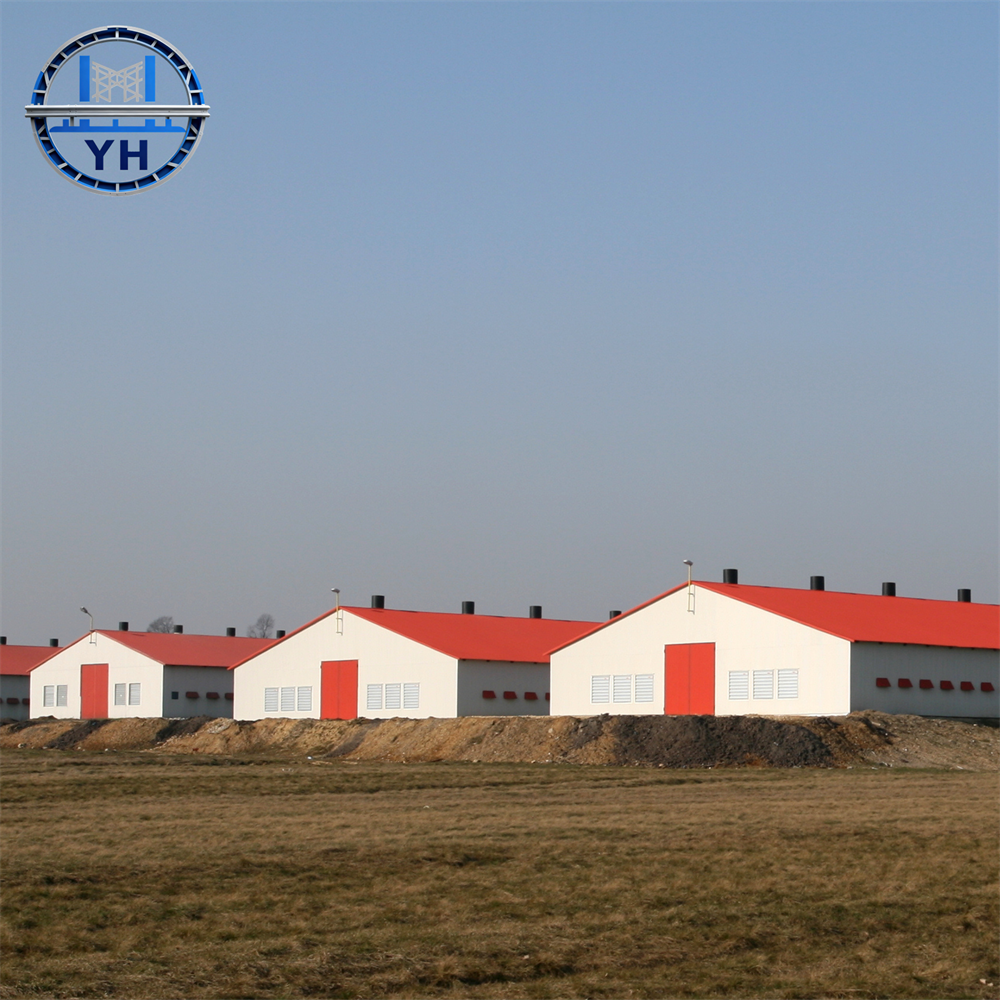 Modern Prefabricated Design Commercial Chicken House with Steel Structure, Laying Hens Shed for Poultry Farm for Sale