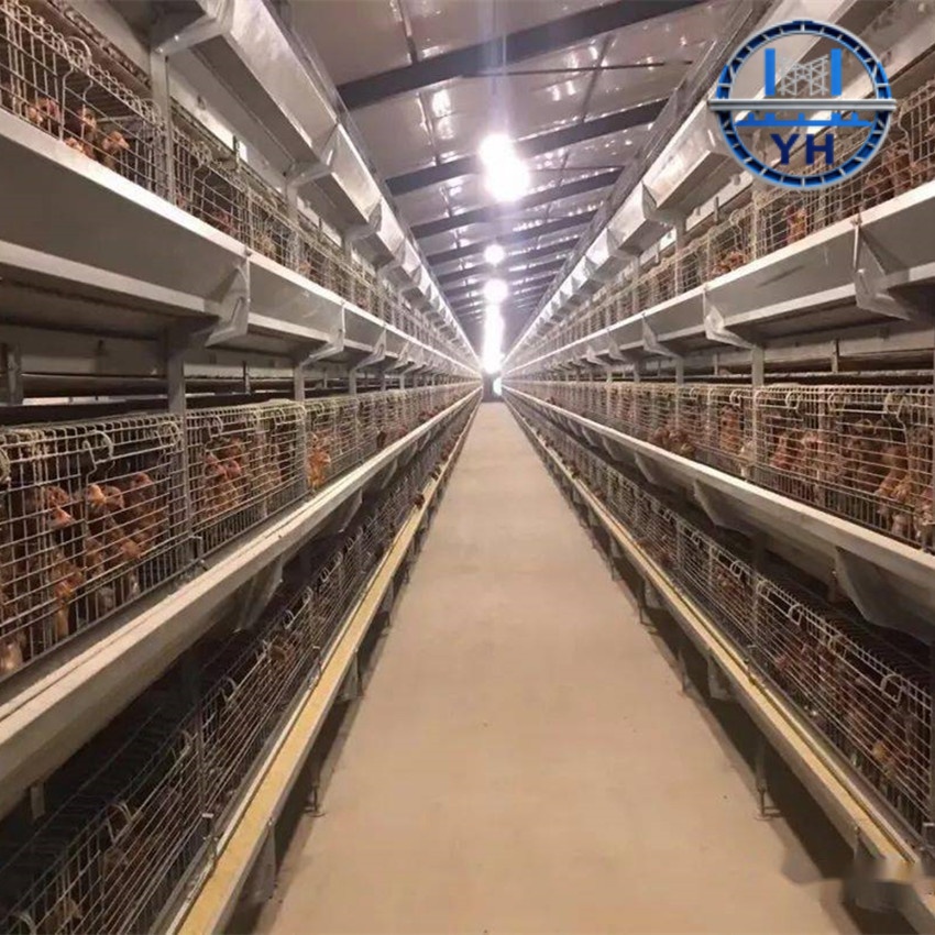 Livestock Shed Construction