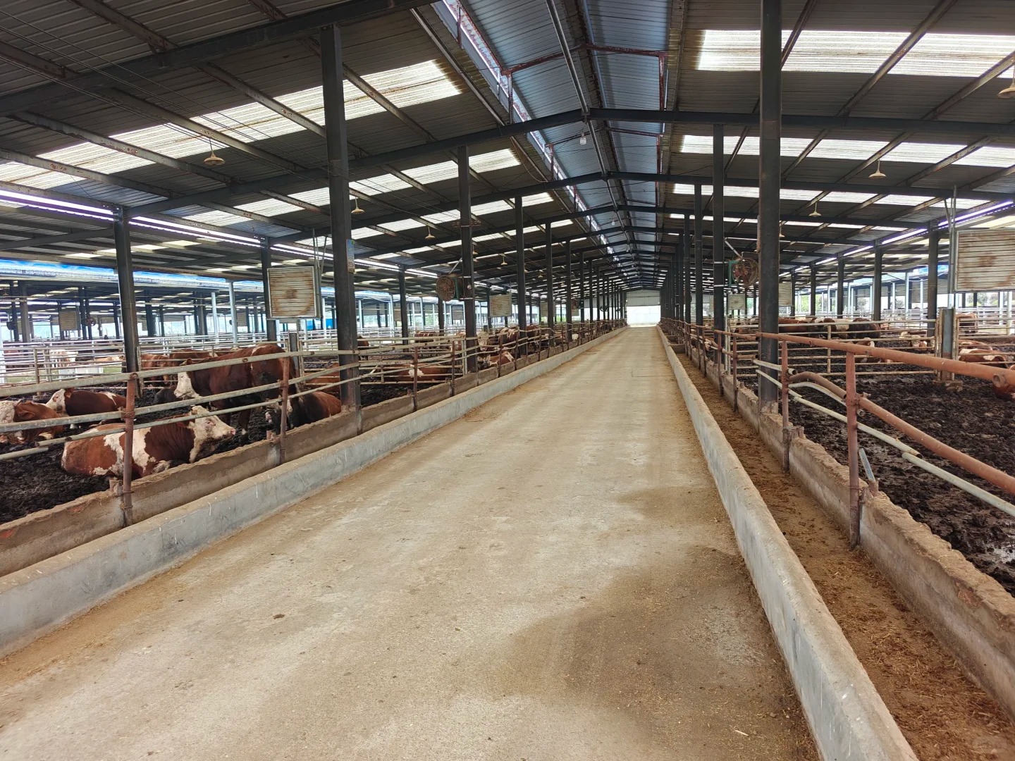 Light Metal Building Materials Kits With Welding &amp; Cutting Services For Prefab Warehouse Shelter Storage Sheds Outdoor Cow Farm