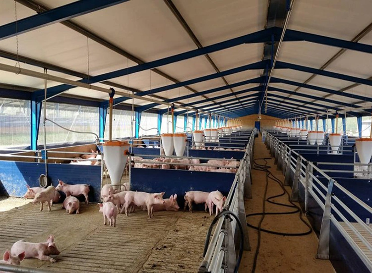 Reliable Low Cost Steel Structure Prefabricated Pig House Livestock Farm for Modern Agriculture