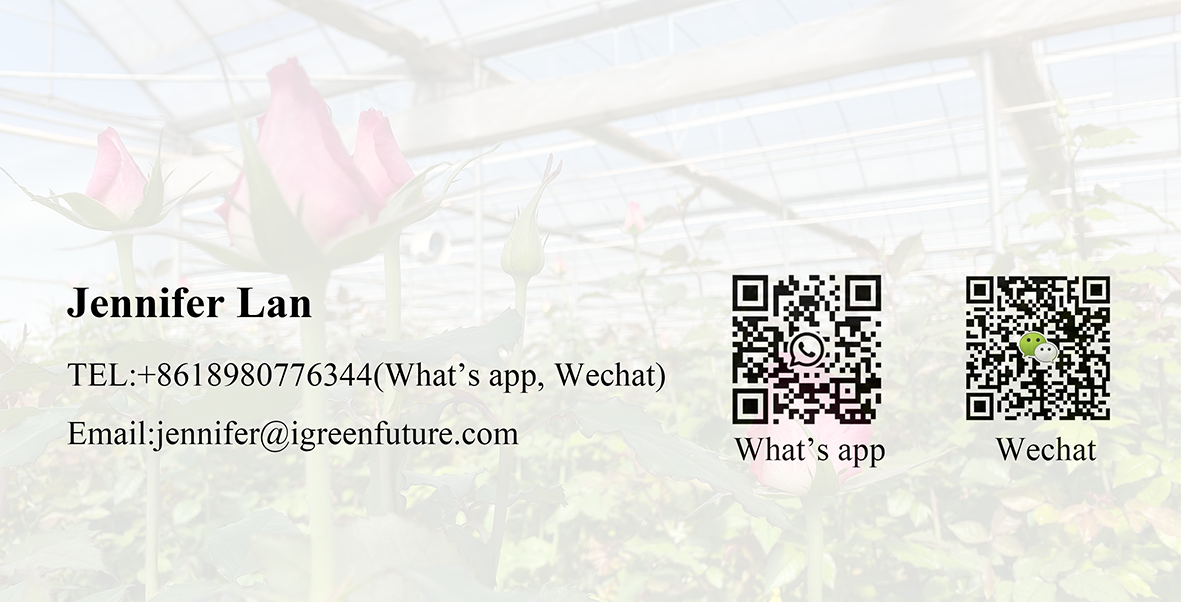 Light Deprivation Greenhouse Overview