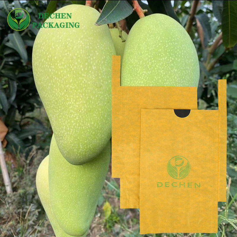 Papel protetor Kraft para bolsa de cultivo de uvas na Sri Lanka