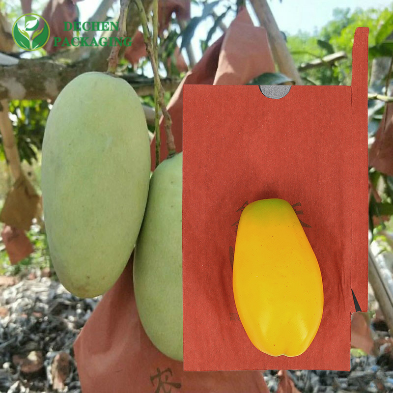 Bolsas de Papel para OEM para Manga - Protetoras e Personalizadas