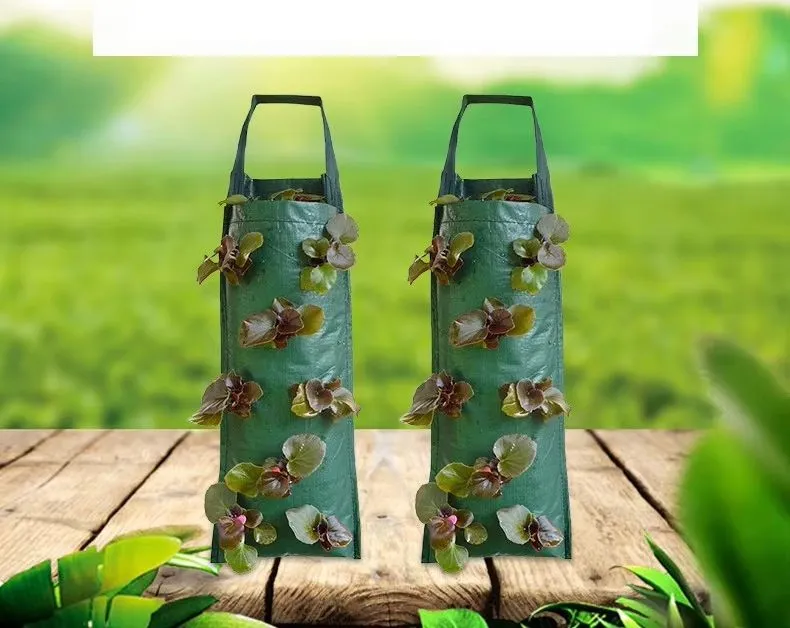 Design de Cultivo