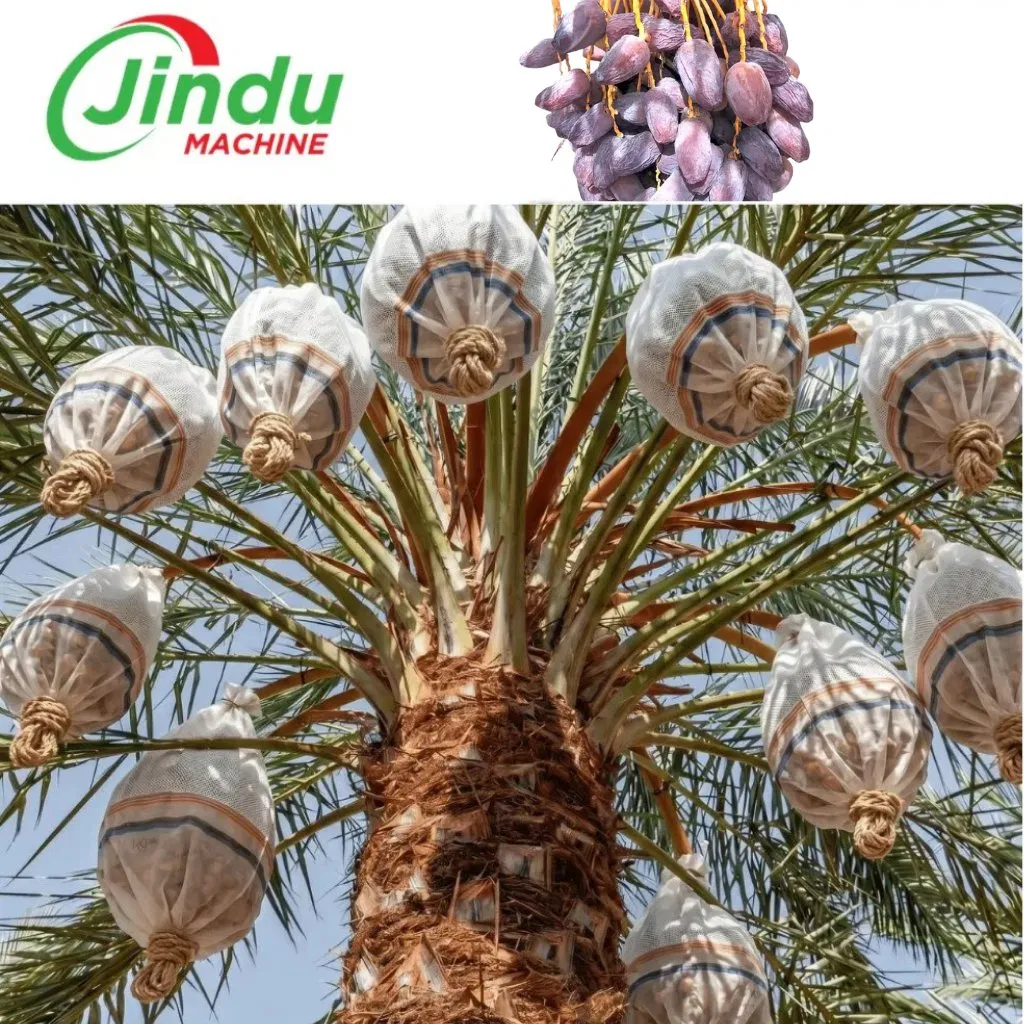 Rede Anti Pássaros e Insetos para Cultivo de Damasco Macio com Material Estabilizado UV