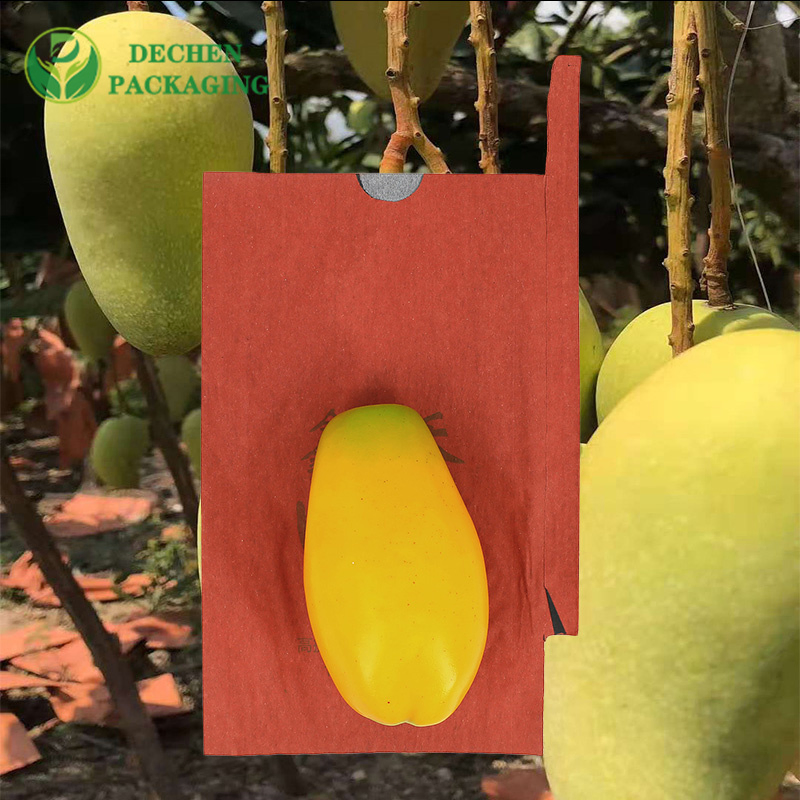 Papel protetor Kraft para bolsa de cultivo de uvas na Sri Lanka