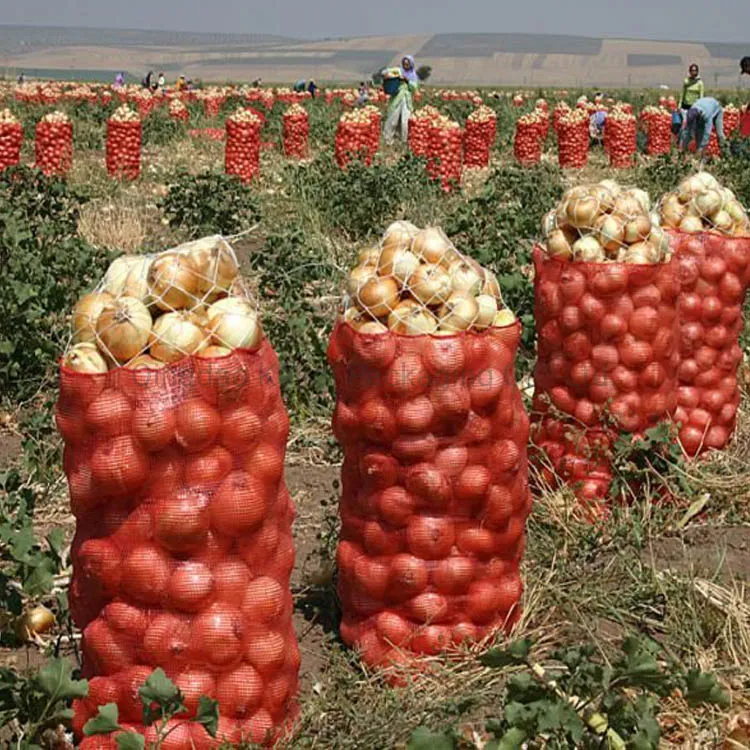 Saco de malha vegetais