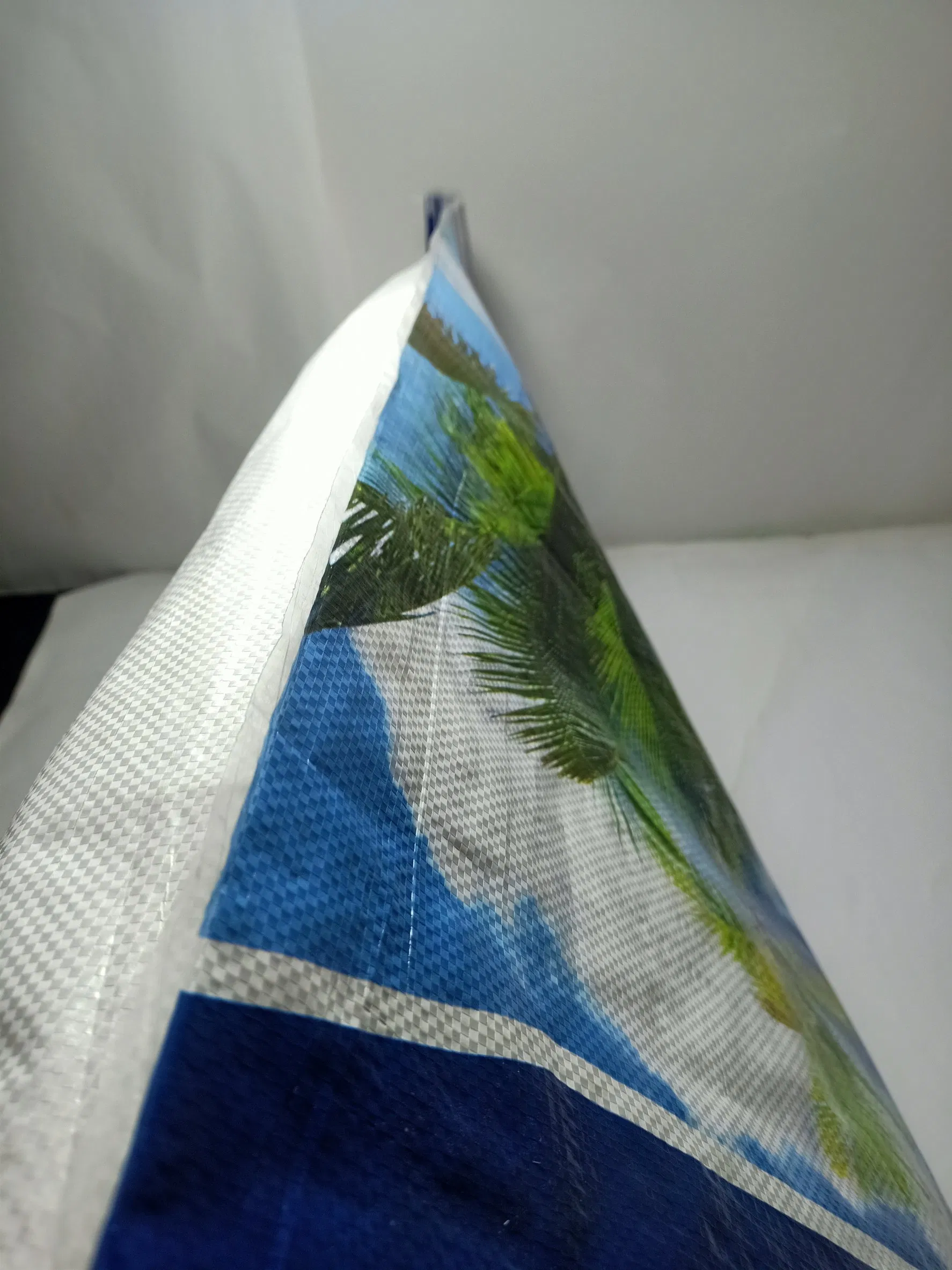 10ka 25kg 50kg Saco Woven Personalizado de Capacidade Suportável Forte e Durável para Embalagem de Milho, Arroz, Areia e Grãos