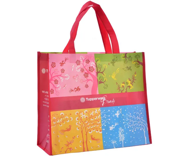 Bolsa de Compras 3