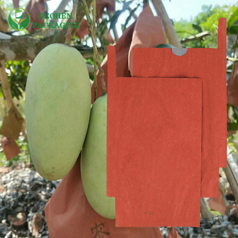 Bolsas de Papel para OEM para Manga - Protetoras e Personalizadas
