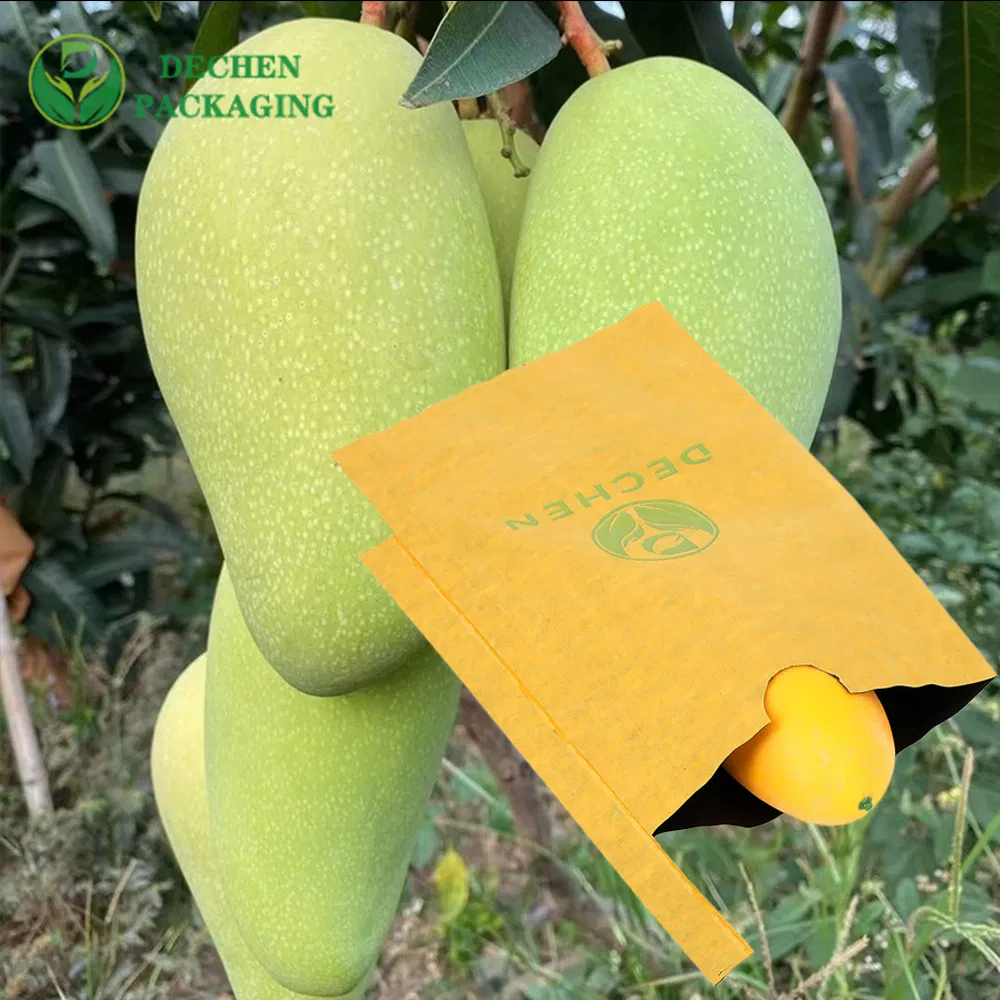 Papel protetor Kraft para bolsa de cultivo de uvas na Sri Lanka