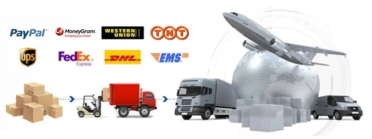 Shipping Logistics