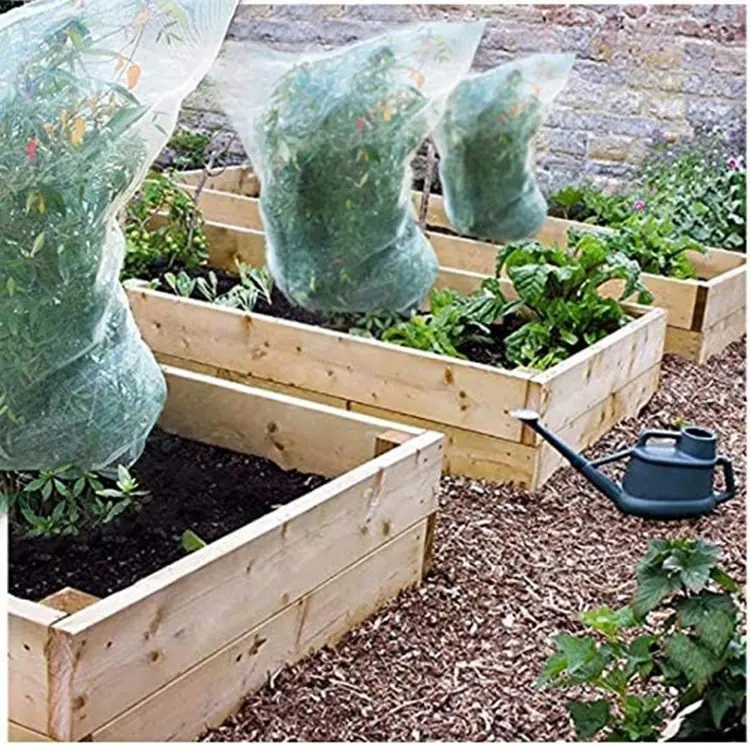 Saco Antiinseto HDPE Atacado Rede Protetora para Coleta de Frutas em Viveiro para Cobertura de Frutas de Laranjeira