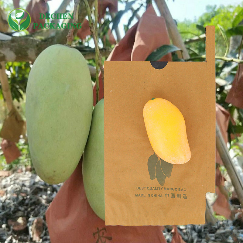 Papel protetor Kraft para bolsa de cultivo de uvas na Sri Lanka