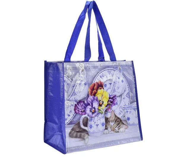 Bolsa de Compras 5