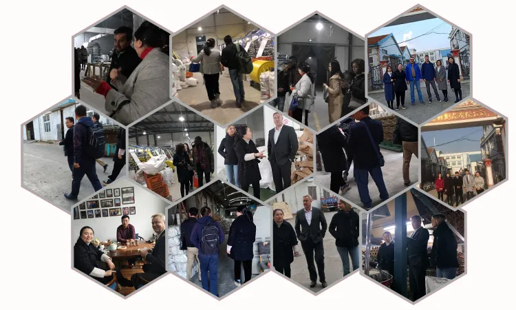 Visita de clientes