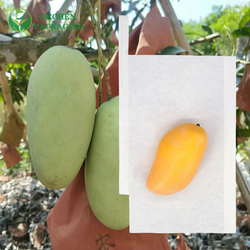 Papel protetor Kraft para bolsa de cultivo de uvas na Sri Lanka