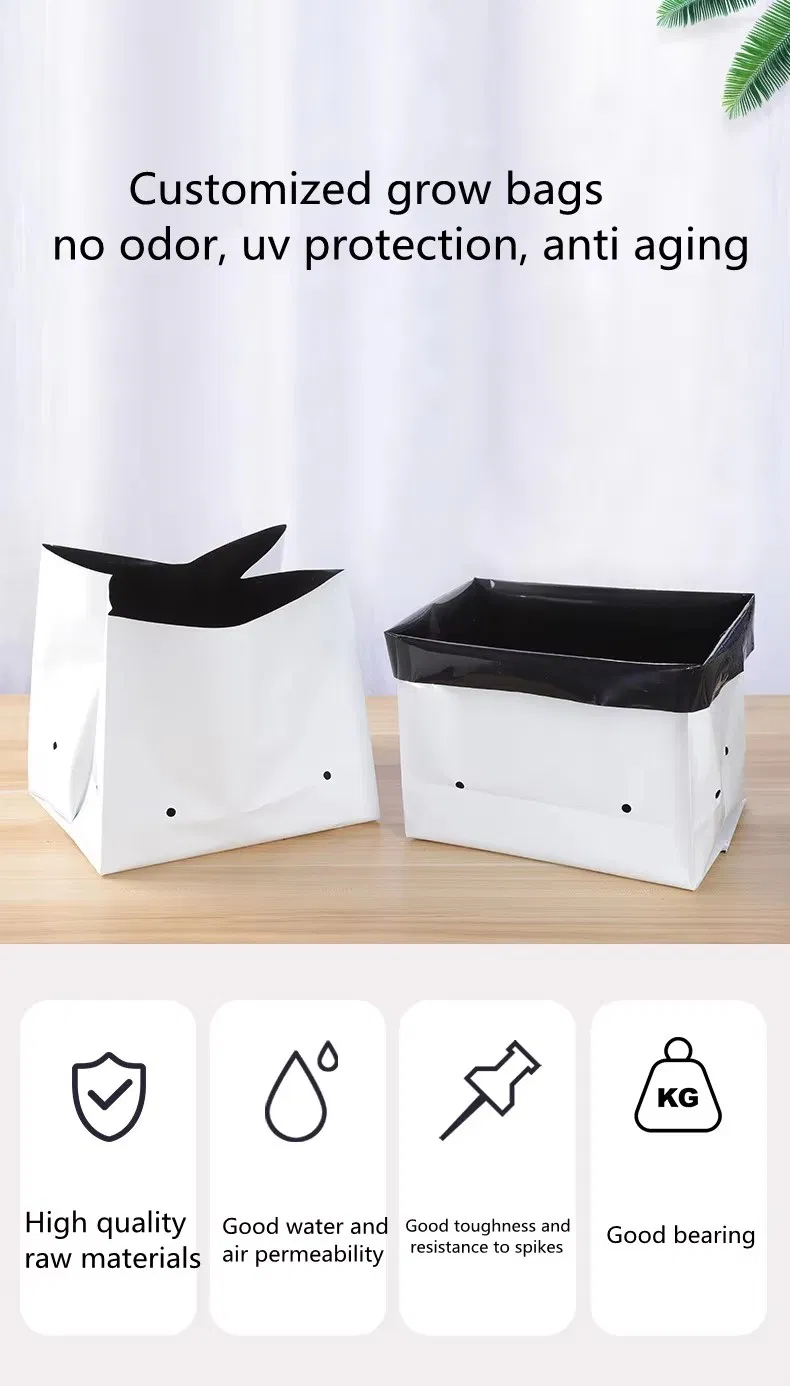 Sacos de Cultivo