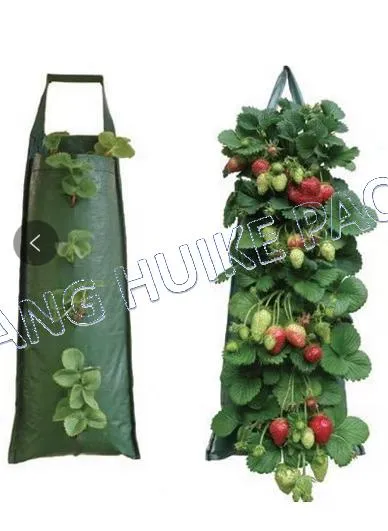 Saco Cultivo 1