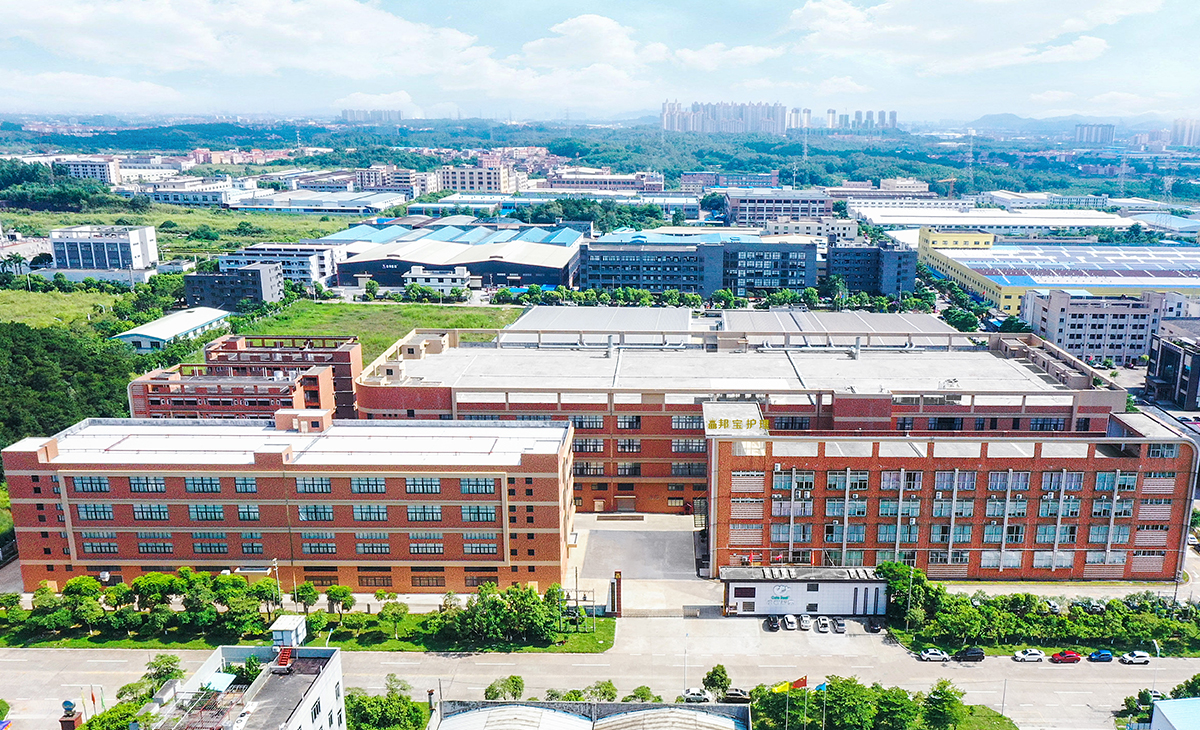 Guangdong Bangbao Personal Care Products Co. Ltd — Company Overview and Manufacturing Campus in Foshan