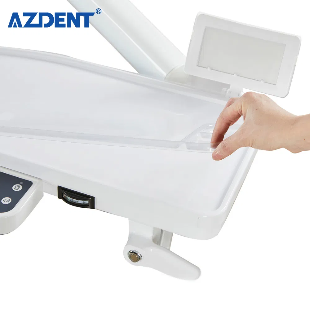 China Factory Supplier Electric Dental Unit Dental Chair for Clinic