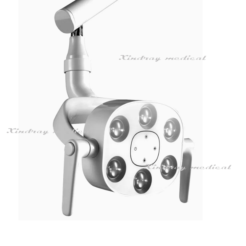 Top Quality Dental 6 LED Oral Light Operating Lamp for Dental Chair with Wholesale Price