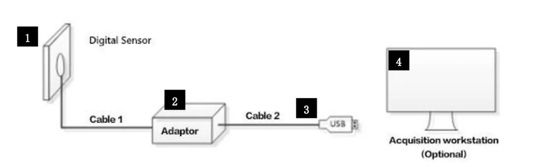 Digital Intraoral Xray Sensor