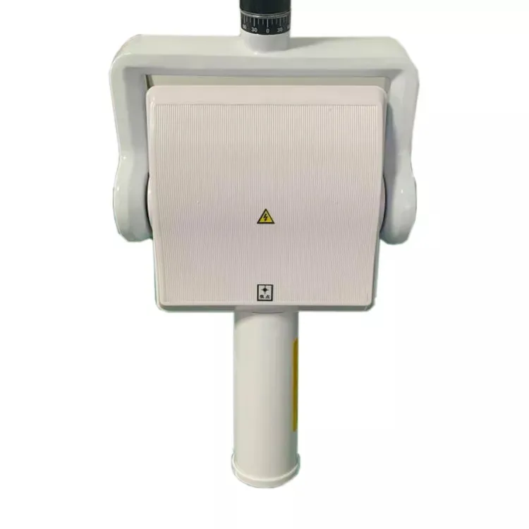 Dental X-ray Detail 4