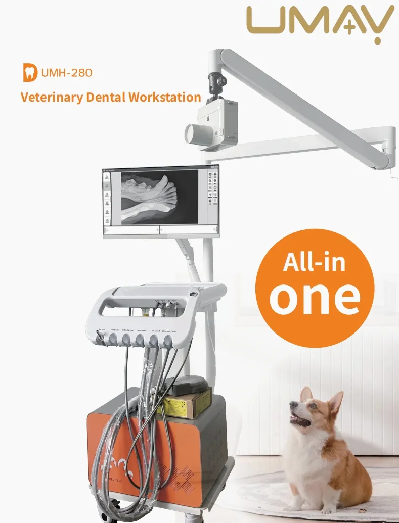 Veterinary Dental X-ray Workstation
