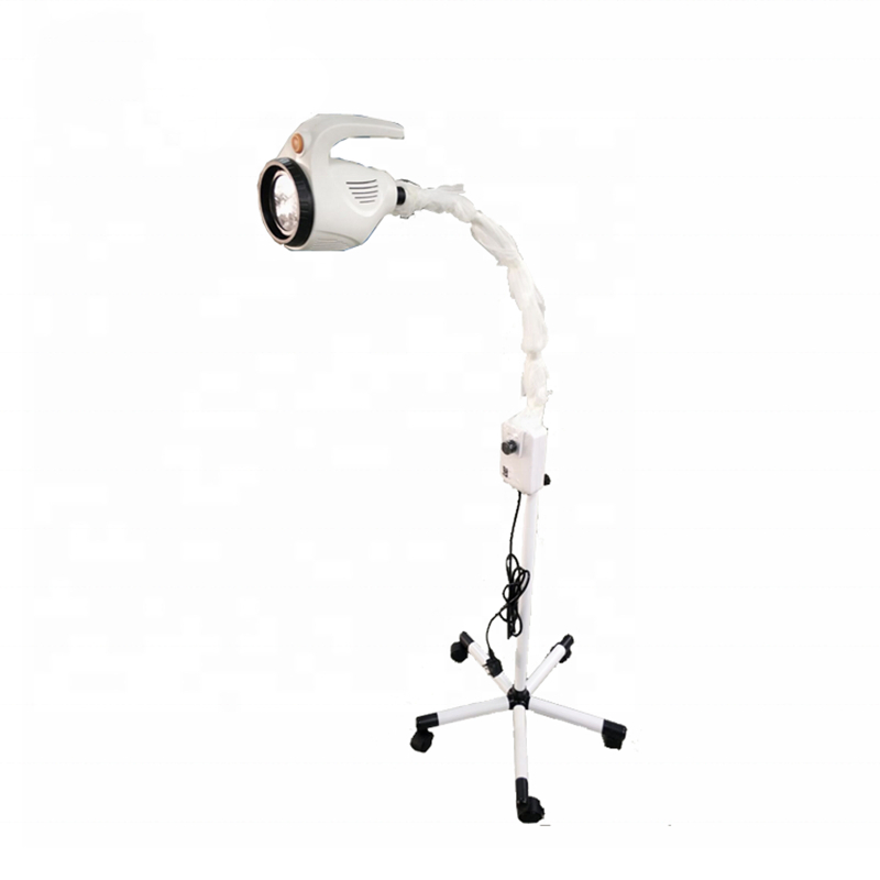 Veterinary LED Examination Light Surgical Shadowless Exam Lamp Price Surgical Operating Light for Dental Clinic Pet