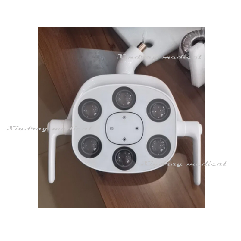 Top Quality Dental 6 LED Oral Light Operating Lamp for Dental Chair with Wholesale Price