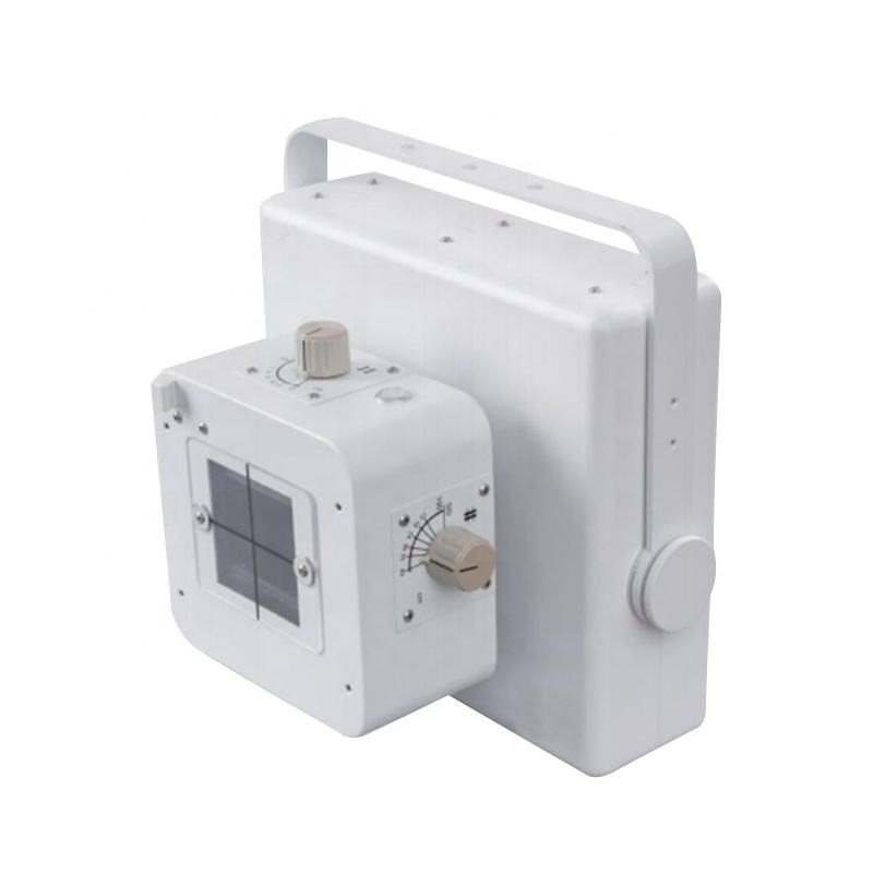 Digital Handheld X-ray Radiography System for Veterinary Horse Leg Imaging