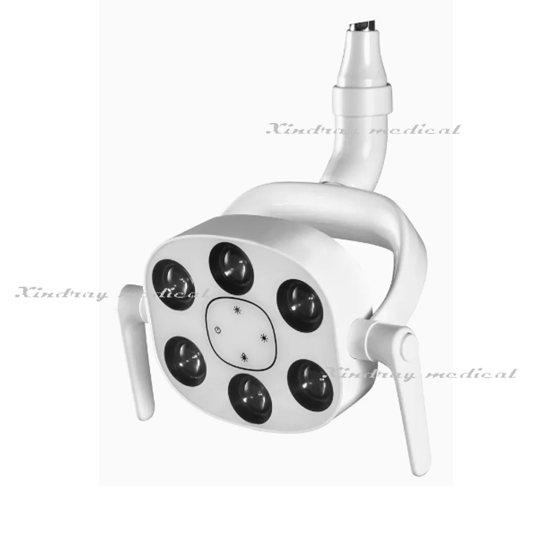 Top Quality Dental 6 LED Oral Light Operating Lamp for Dental Chair with Wholesale Price