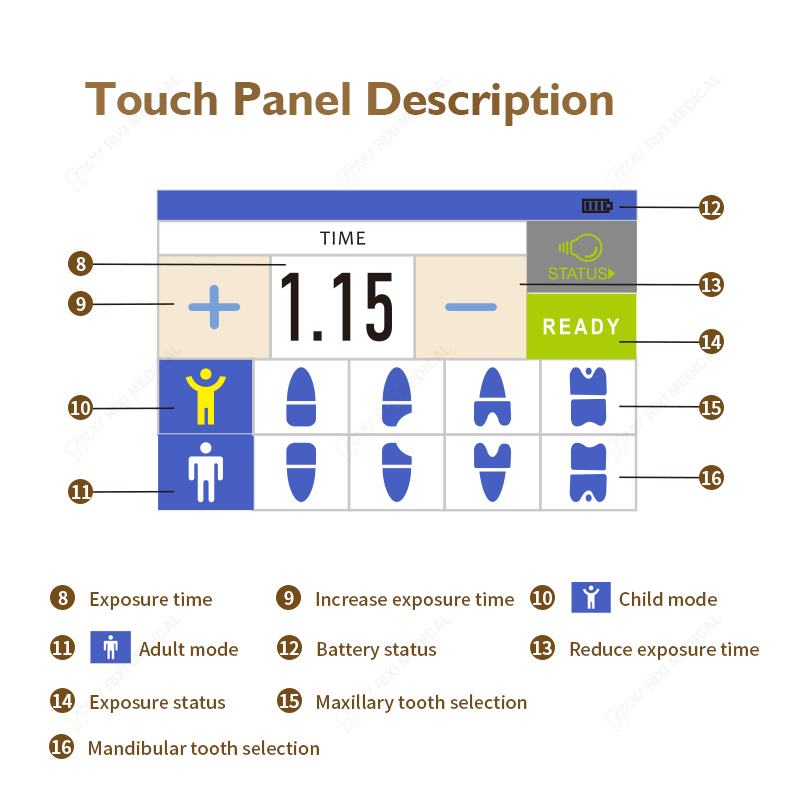 Hot Sale Rixi ISO China Ultrasound Portable Transducer Scanner Unit Dental Xray