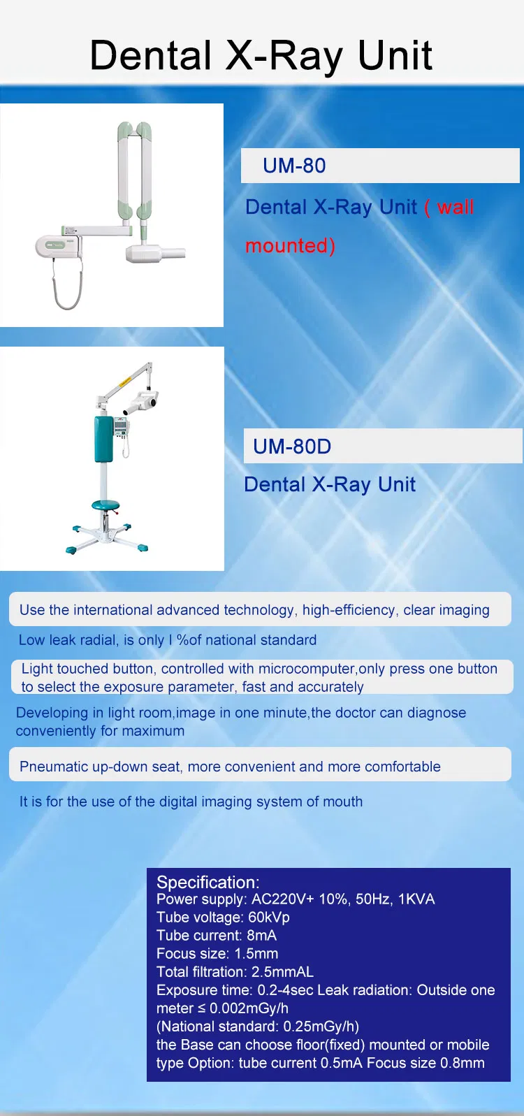 Dental X-ray Detail 2