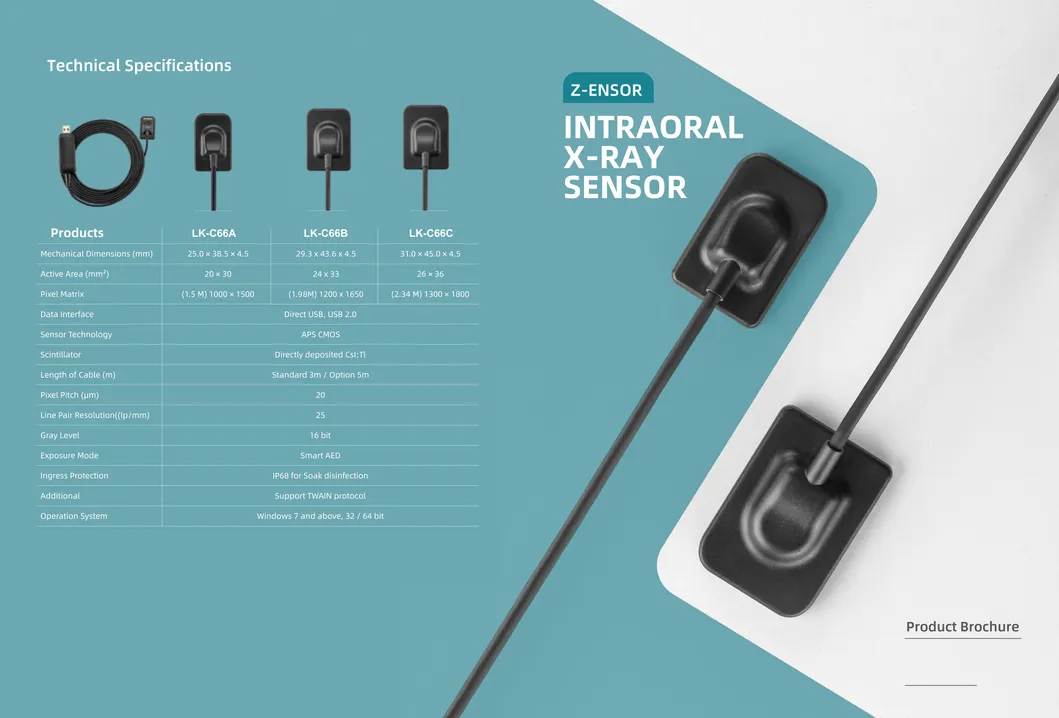 Dental Equipment Support