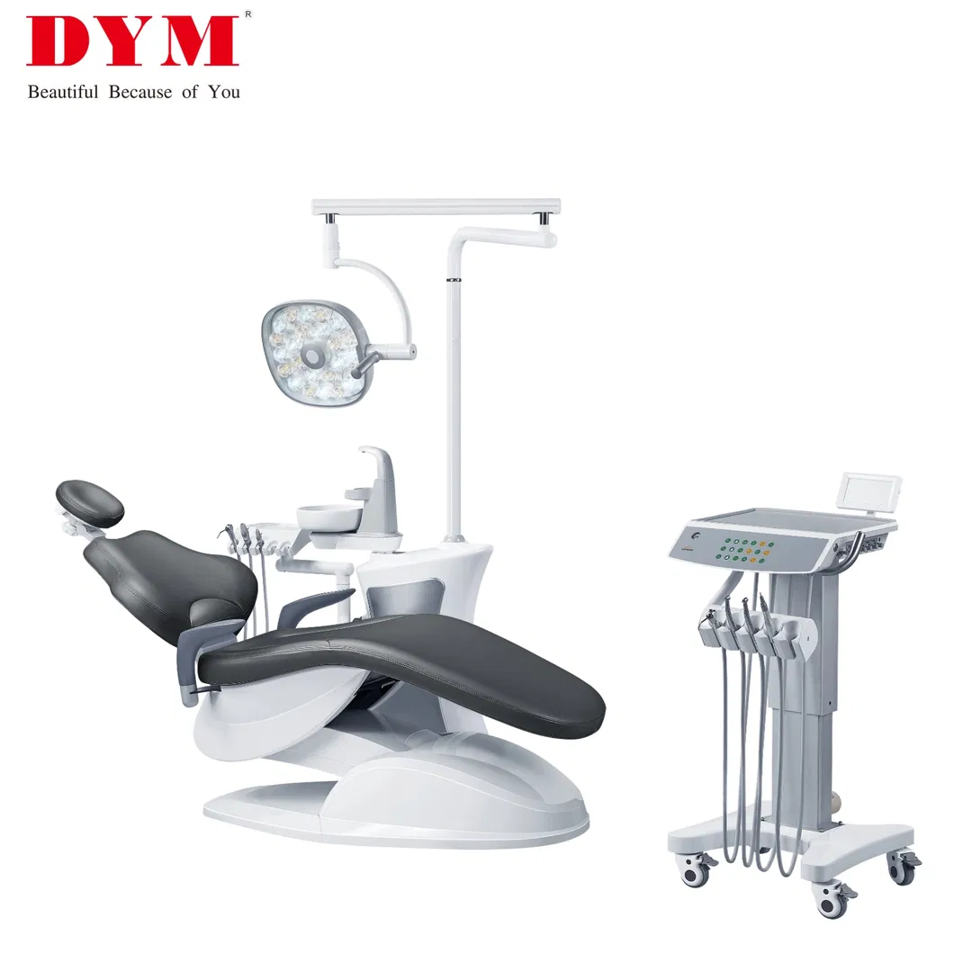 Luxury Dental Chair